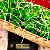 Which is Healthier Sprouts or Microgreens?