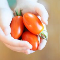 Vegetable Gardening